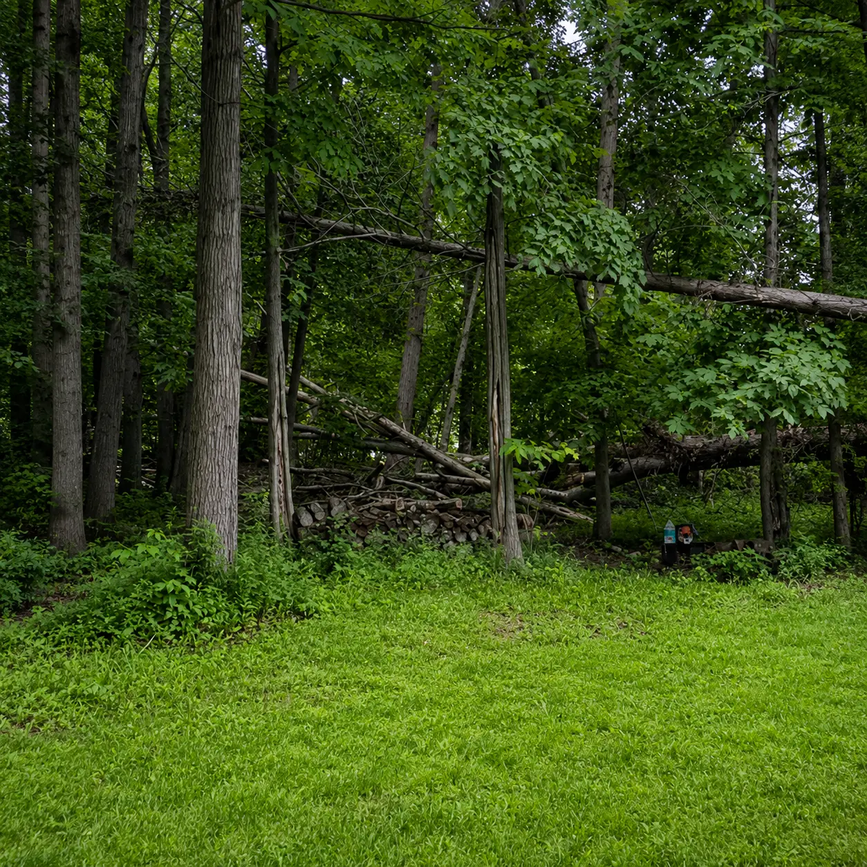 Before: Storm Cleanup
